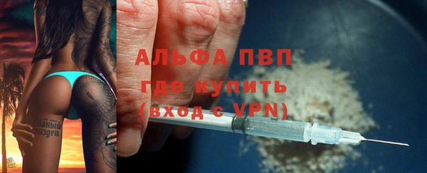 шишки Белокуриха